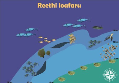 Reethi Loafaru